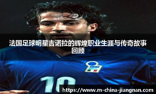 江南体育平台